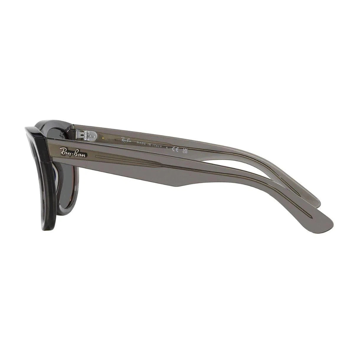 WAYFARER REVERSE RBR0502S