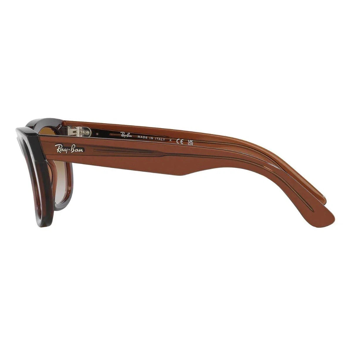 WAYFARER REVERSE RBR0502S
