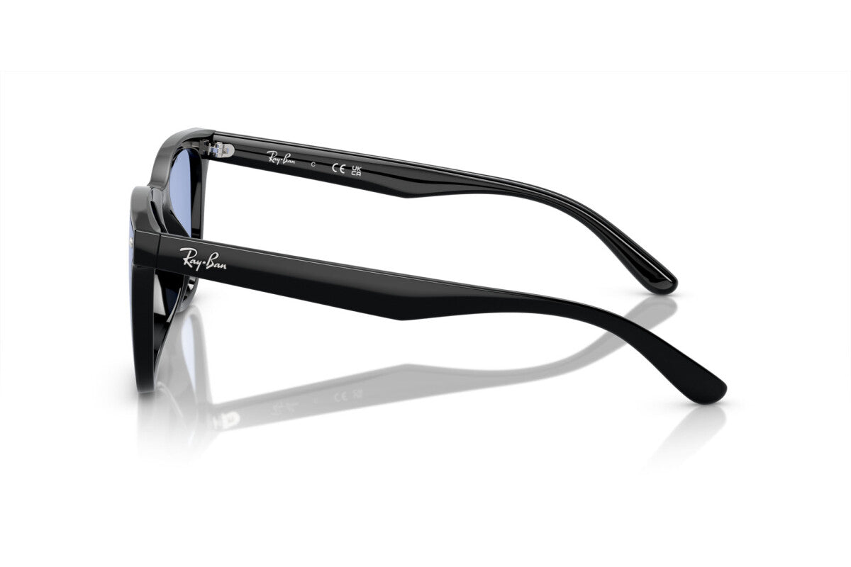 RAY-BAN 4420S