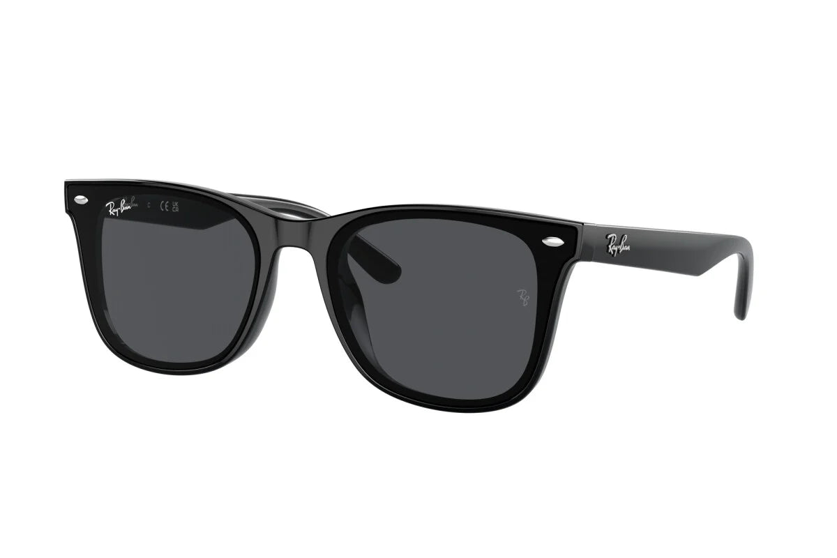 RAY-BAN 4420S
