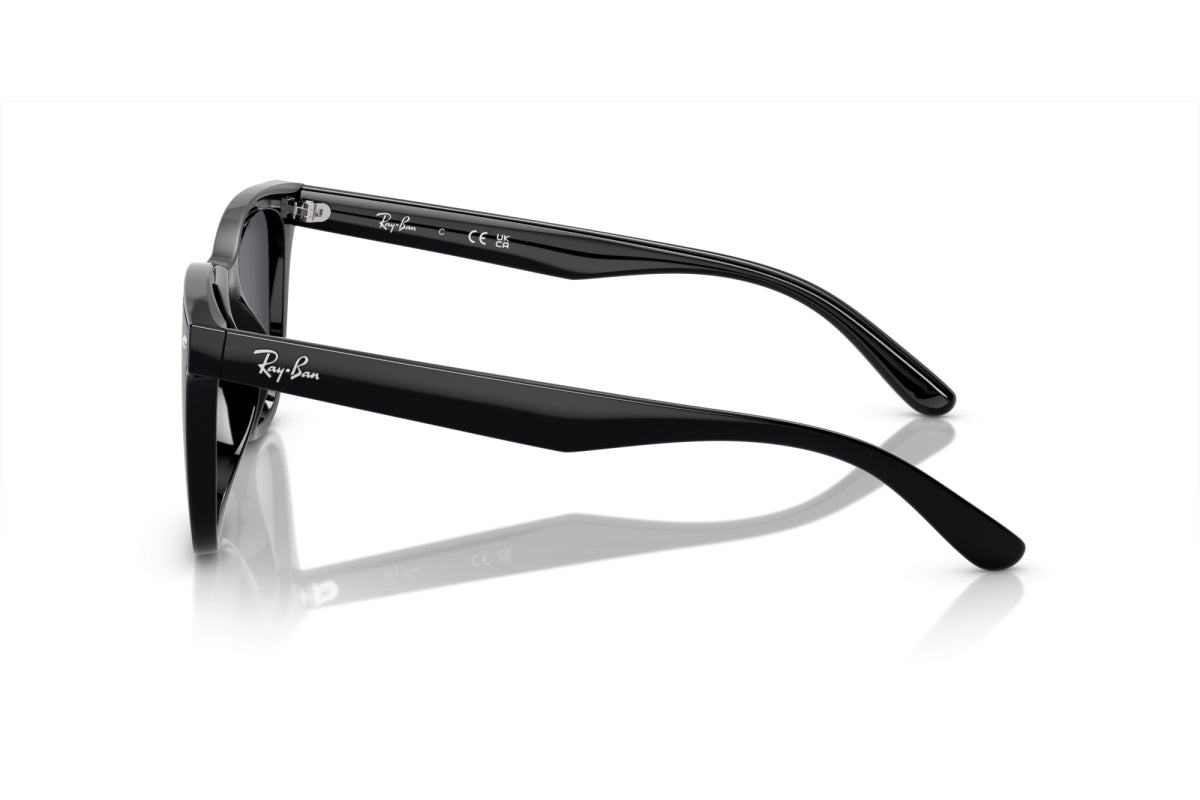 RAY-BAN 4420S