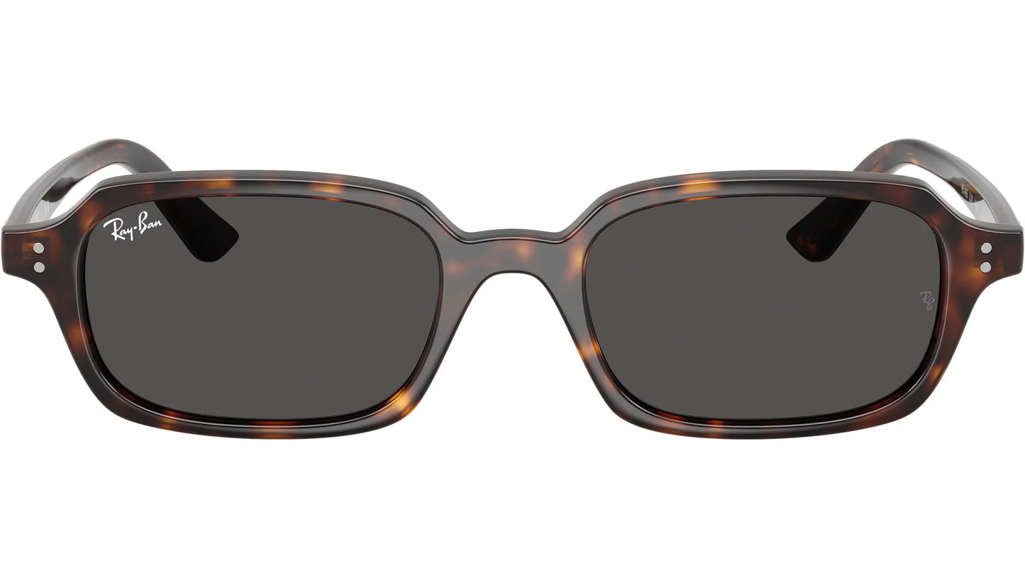 RAY-BAN 4455 ZURI