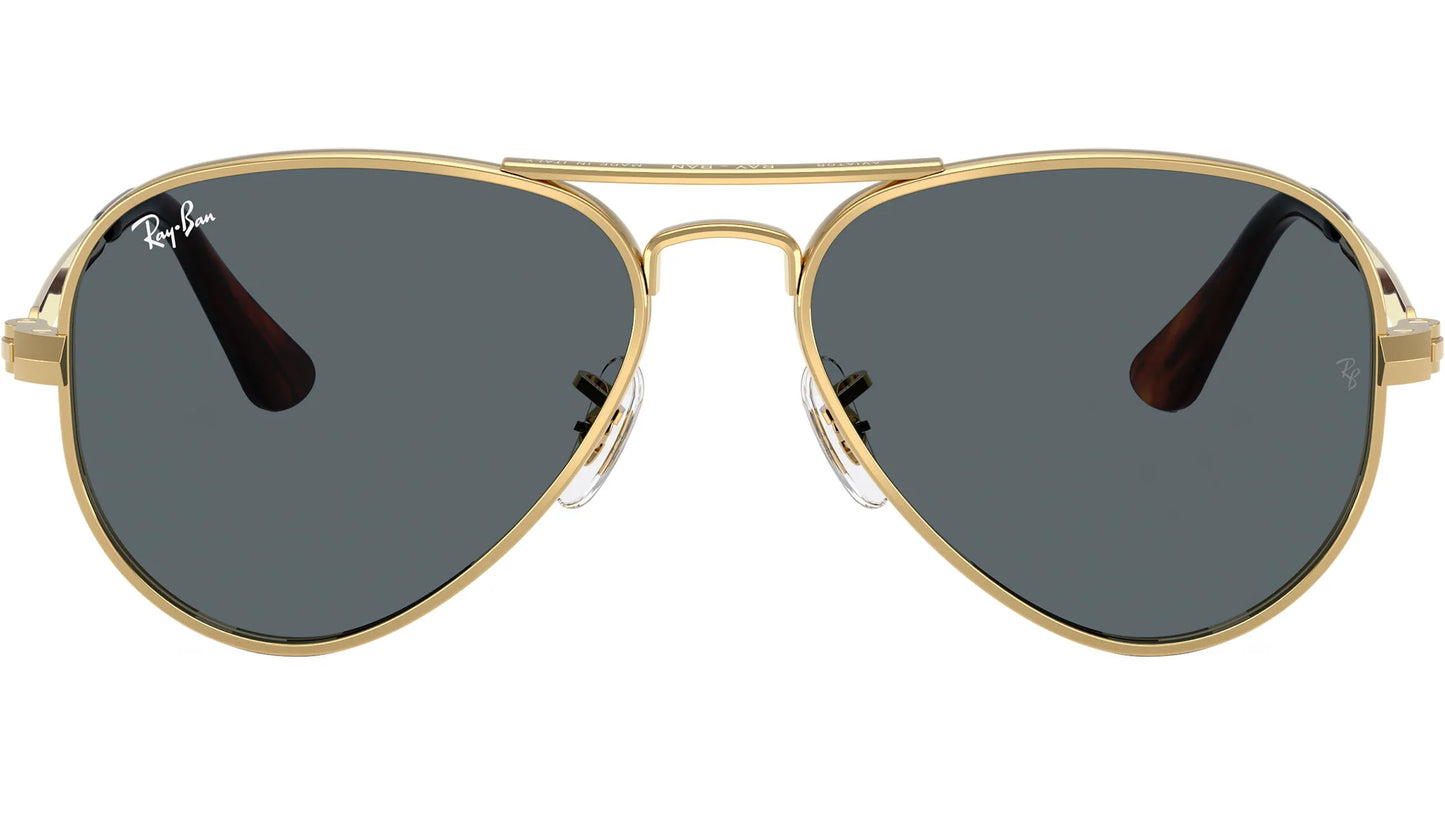 RAY-BAN 3925 AVIATOR MAX