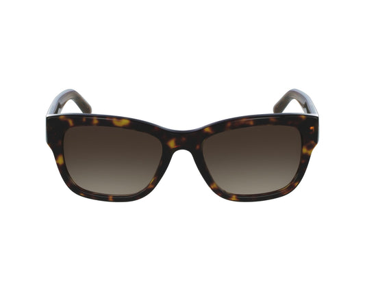 Burberry BE4188/S Sunglasses in Brown Gradient Lenses With Havana Frame, front view