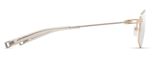 DITA DLX144 Rectangle Eyeglasses in White Gold / Shiny Silver Khaki Crystal, side view