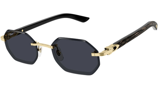 Cartier CT0439S square sunglasses, luxury eyewear brands and prices in India at Opti Plaza