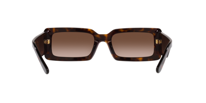 Dolce & Gabbana DG4416/S Rectangle Sunglasses in Gradient Brown / Havana, back view