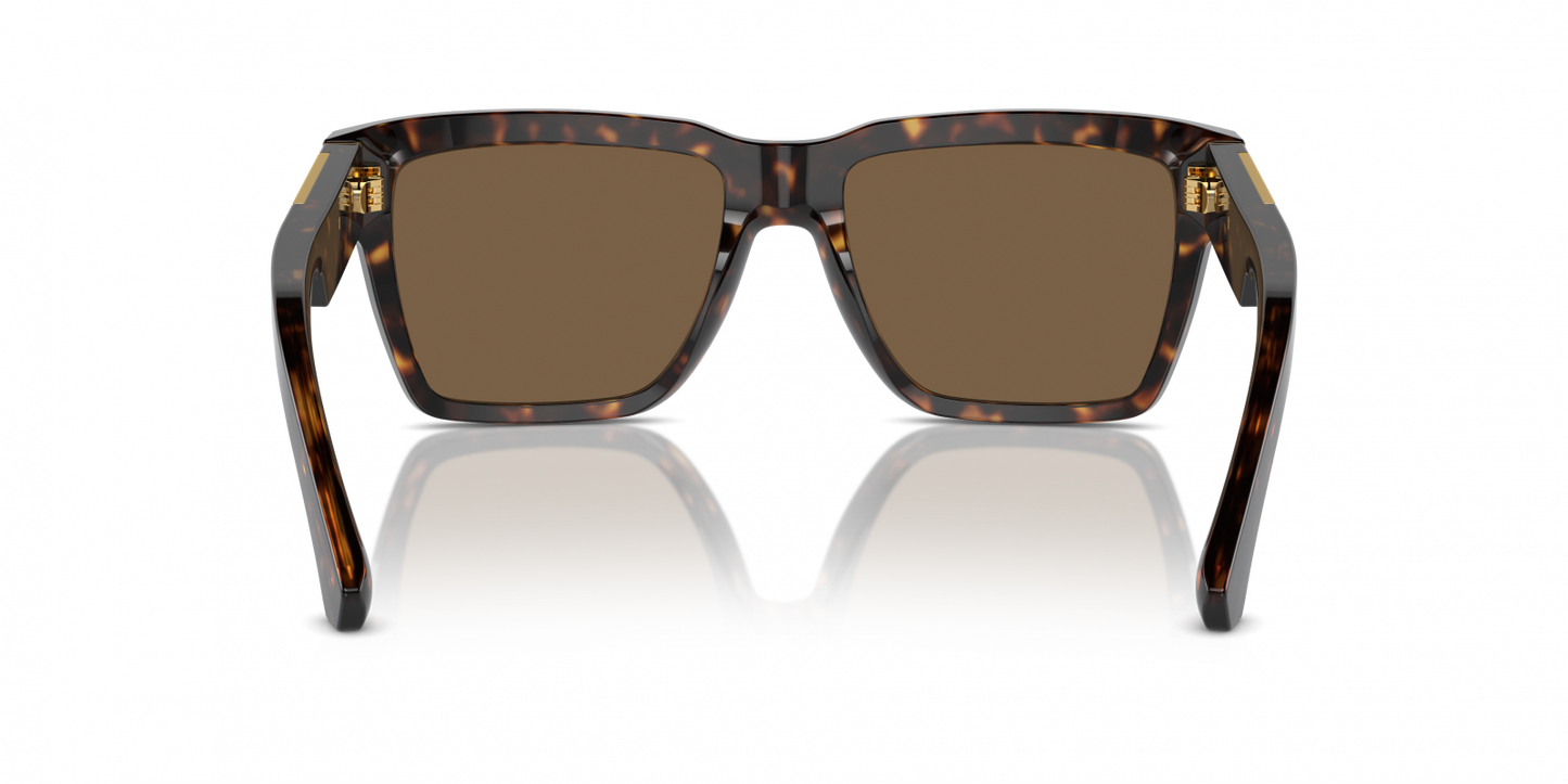 Dolce & Gabbana DG4465/S Square Sunglasses in Dark Brown / Havana, side view