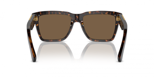 Dolce & Gabbana DG4465/S Square Sunglasses in Dark Brown / Havana, side view