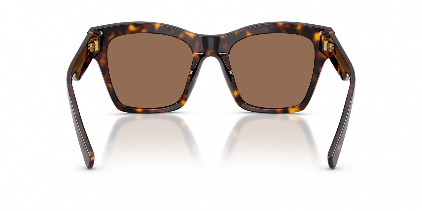 Dolce & Gabbana DG4512 Square Sunglasses in Dark Brown, side view