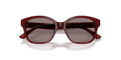 Emporio Armani EK4009U/S Cat Eye Sunglasses in Dark Violet Red, angle view