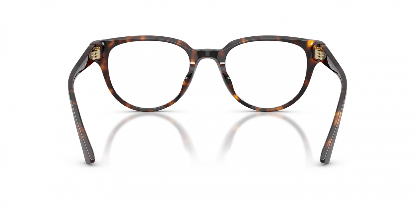 Jimmy Choo JC3051D Oval Eyeglasses in Havana, side view