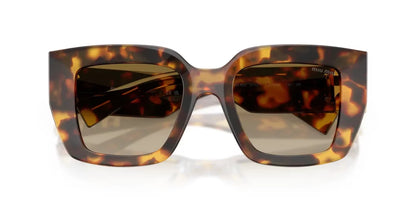 Miu Miu MUB05S Cat Eye Sunglasses in Dark Brown Gradient / Honey Tortoise, detail view