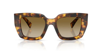 DARK BROWN GRADIENT / HONEY TORTOISE