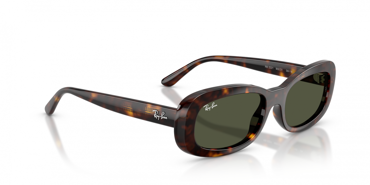 Ray-Ban RB2221 Oval Sunglasses in Green/Havana, side view