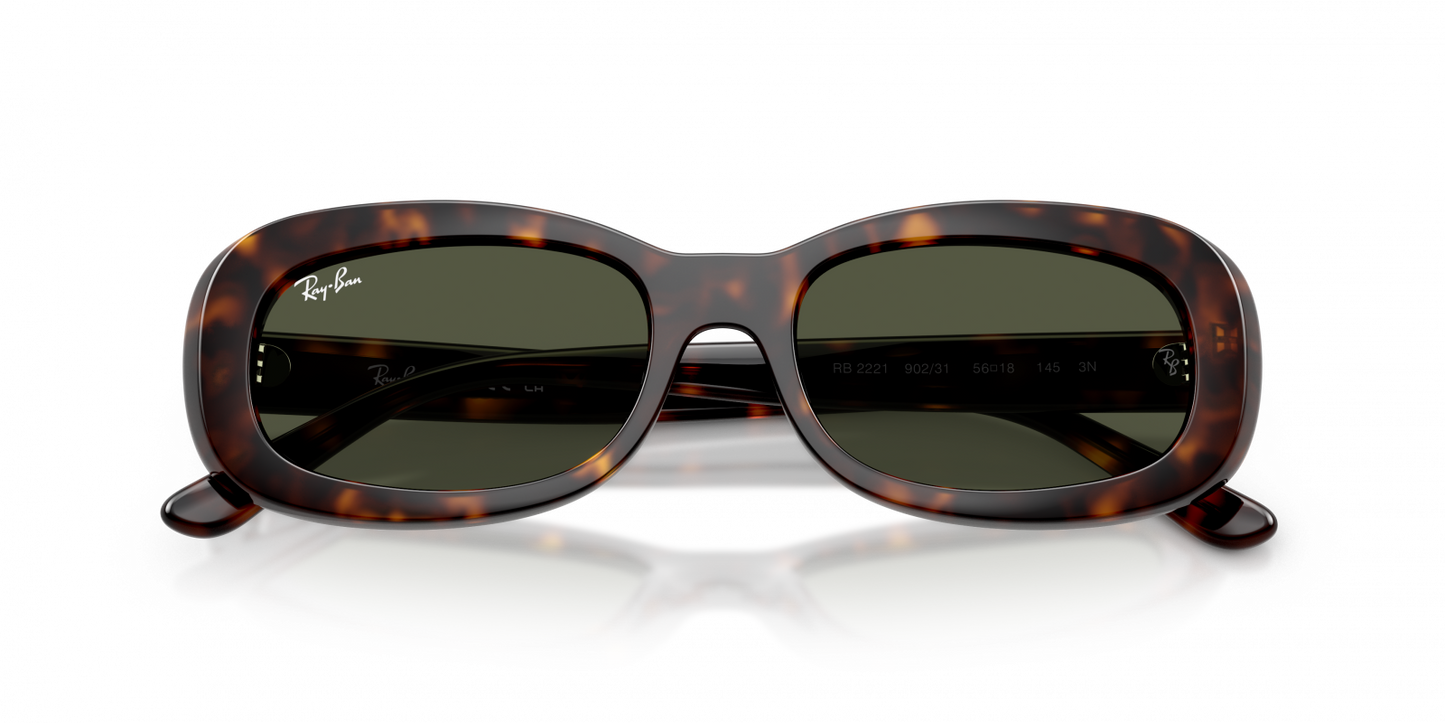 Ray-Ban RB2221 Oval Sunglasses in Green/Havana, angle view