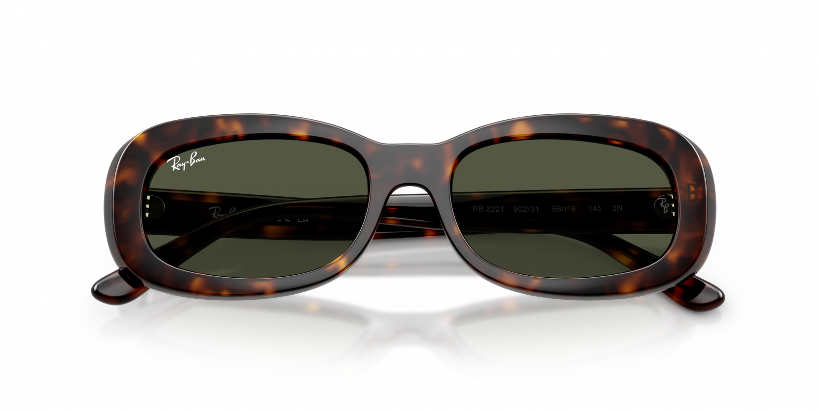 Ray-Ban RB2221 Oval Sunglasses in Green/Havana, angle view