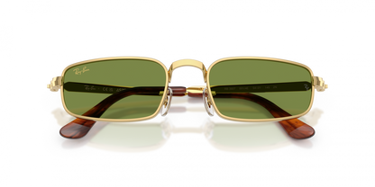 Ray-Ban RB3927 Rectangle Sunglasses in Green Gold, angle view