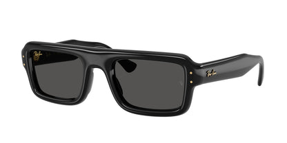 Ray-Ban RB4954 Aviator Sunglasses in Ultra Black/Black, front view