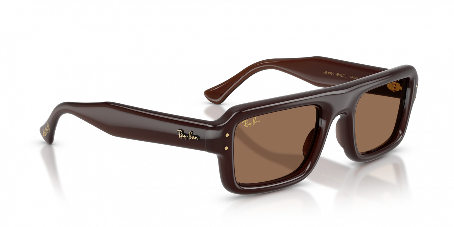 Ray-Ban RB4954 Aviator Sunglasses in Dark Brown/Transparent Dark Brown, side view