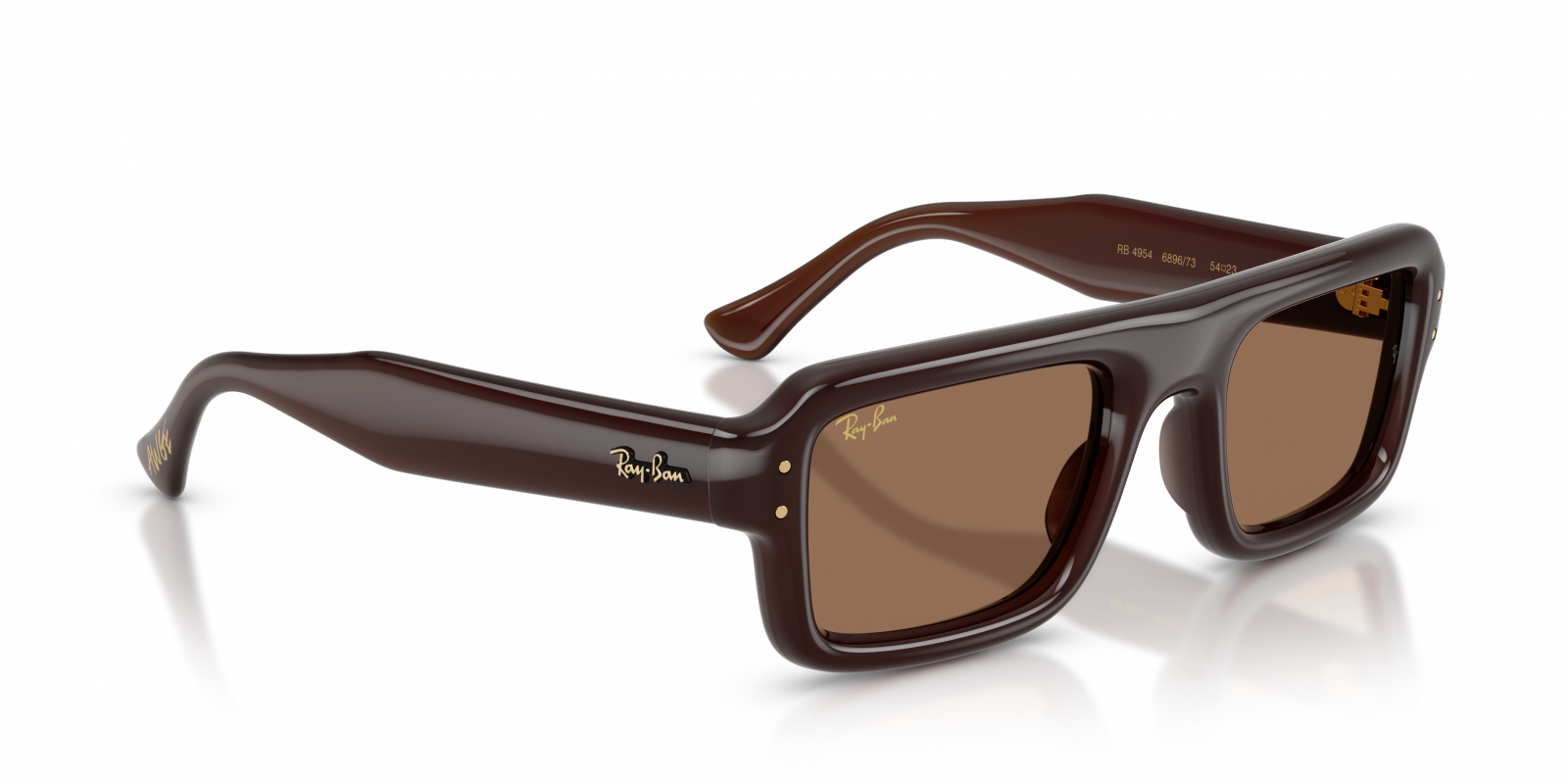Ray-Ban RB4954 Aviator Sunglasses in Dark Brown/Transparent Dark Brown, side view