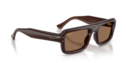 Ray-Ban RB4954 Aviator Sunglasses in Dark Brown/Transparent Dark Brown, side view