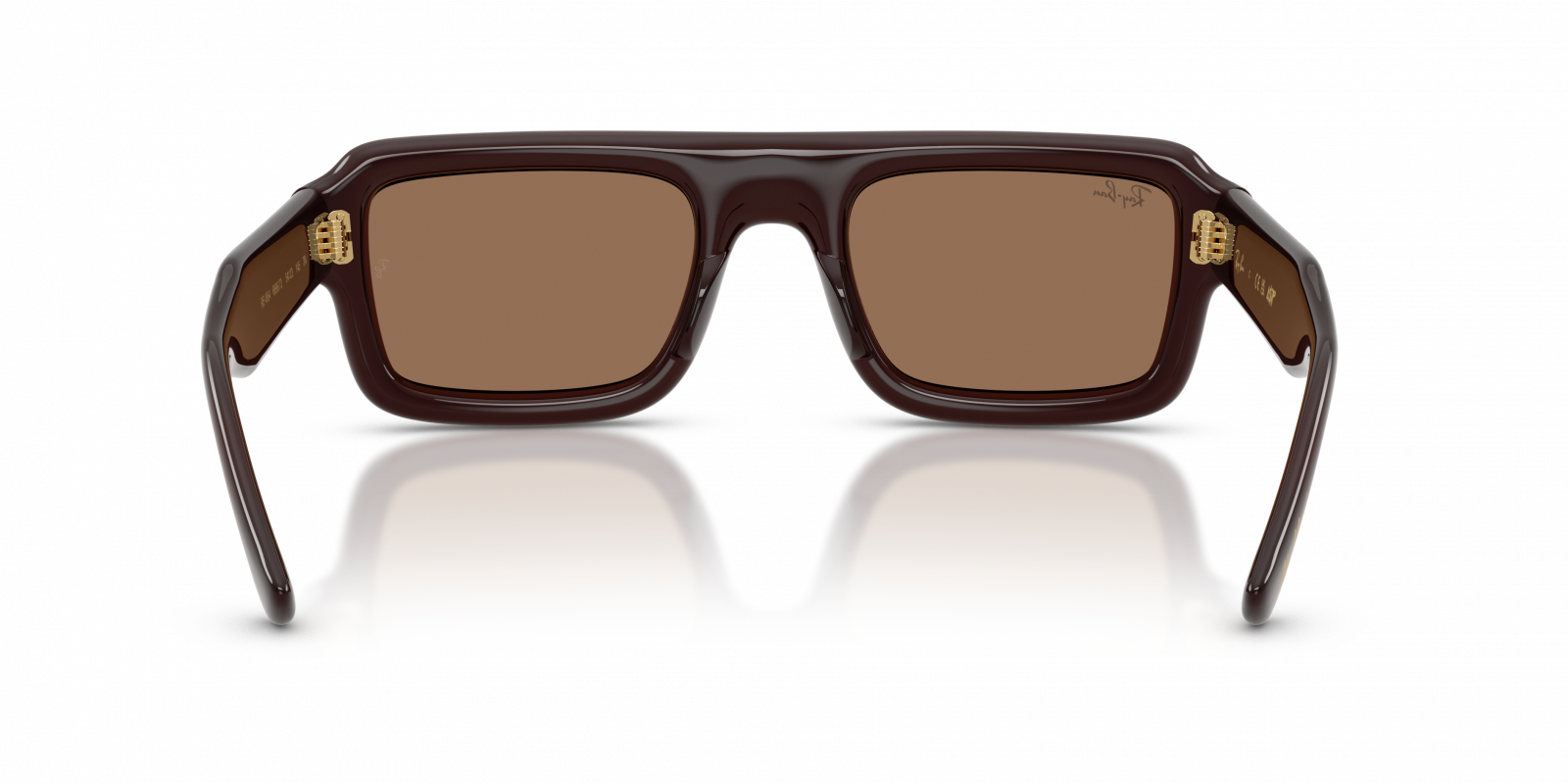 Ray-Ban RB4954 Aviator Sunglasses in Dark Brown/Transparent Dark Brown, angle view
