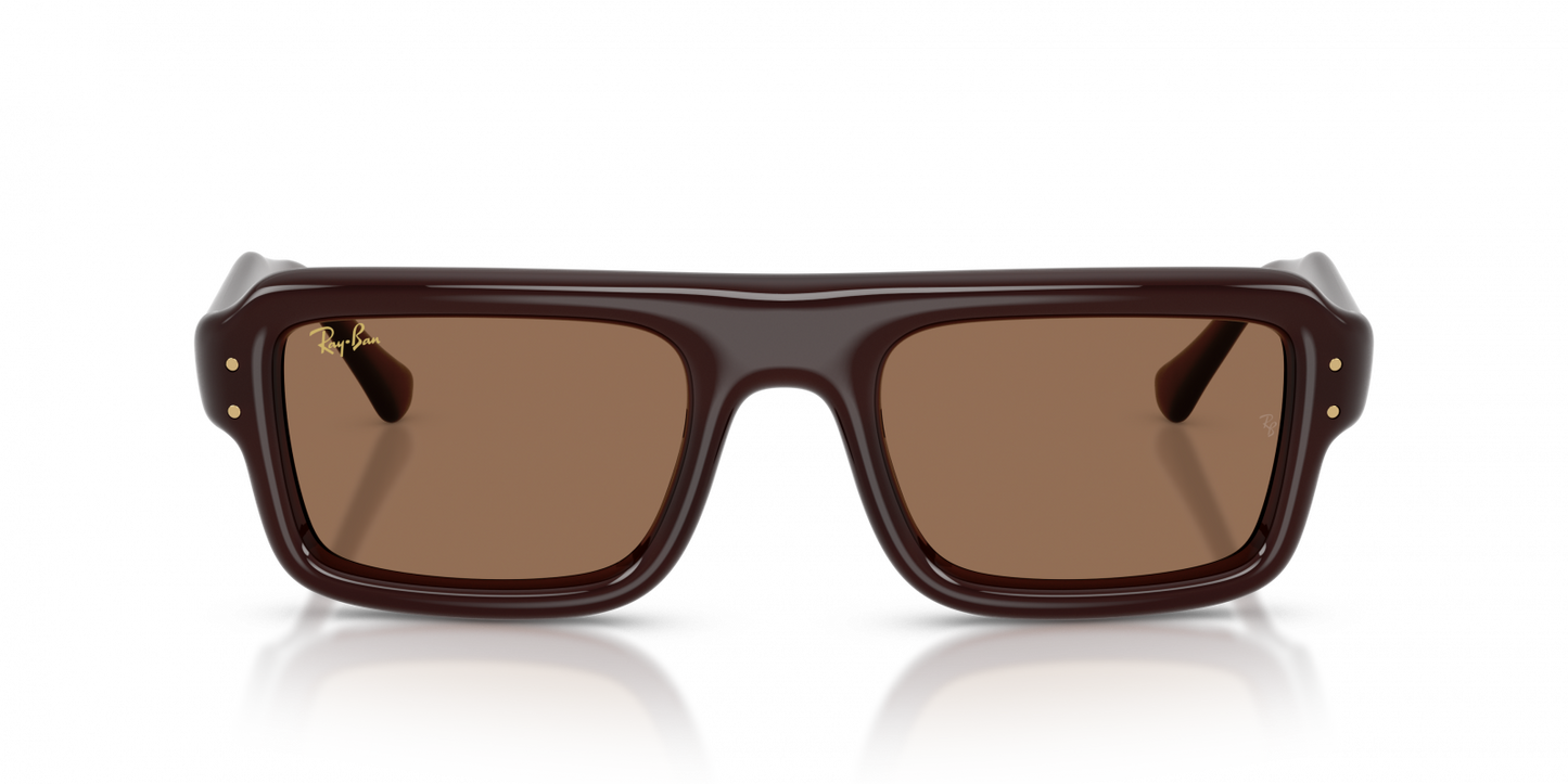 Ray-Ban RB4954 Aviator Sunglasses in Dark Brown/Transparent Dark Brown, detail view