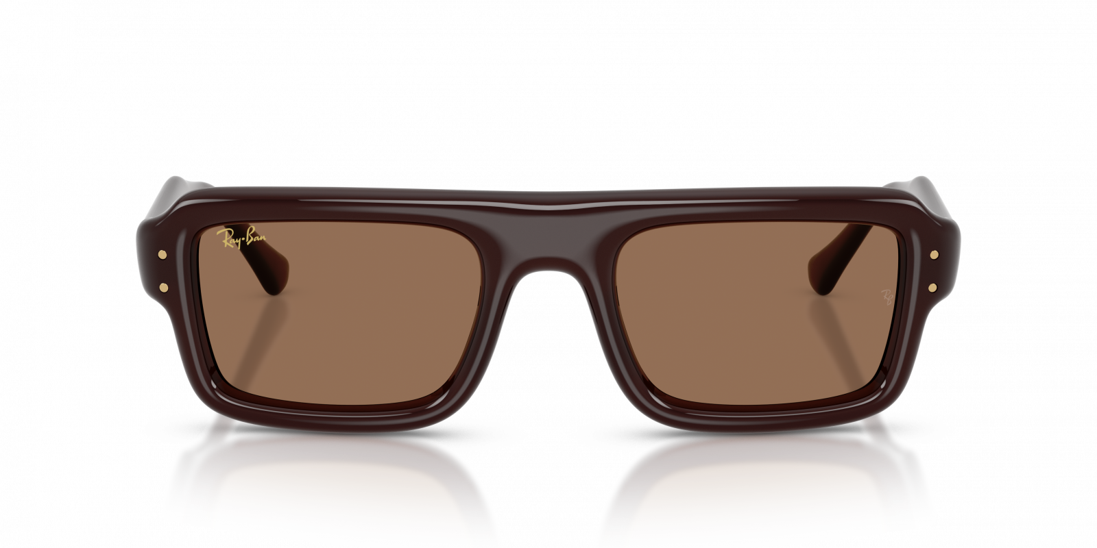 Ray-Ban RB4954 Aviator Sunglasses in Dark Brown/Transparent Dark Brown, detail view