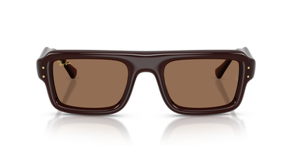 Ray-Ban RB4954 Aviator Sunglasses in Dark Brown/Transparent Dark Brown, detail view