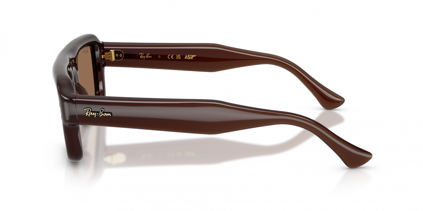 Ray-Ban RB4954 Aviator Sunglasses in Dark Brown/Transparent Dark Brown, back view