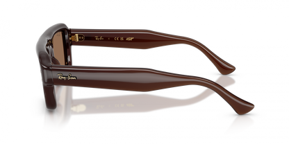 Ray-Ban RB4954 Aviator Sunglasses in Dark Brown/Transparent Dark Brown, back view