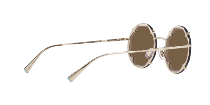Tiffany & Co. TF3091S Round Sunglasses in Dark Brown / Pale Gold, back view