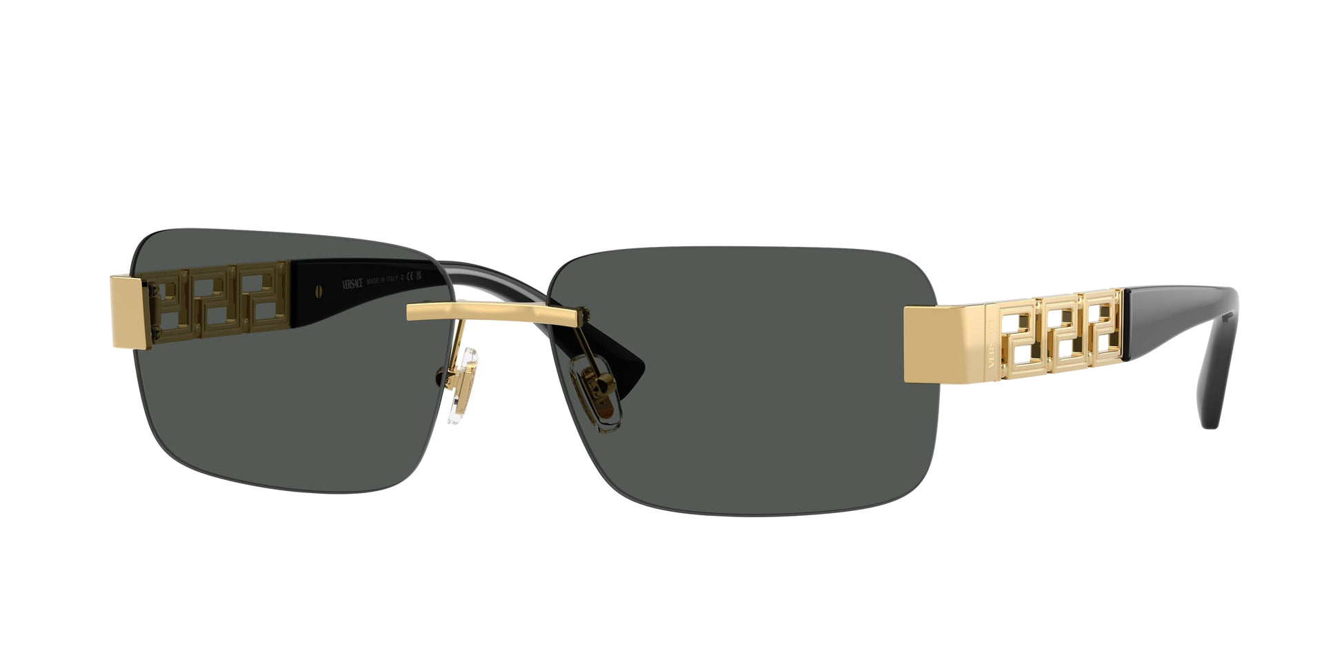 Versace VE2298/S Rectangle Sunglasses in Dark Grey / Gold, front view