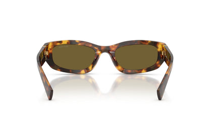 Miu Miu MUB04S Geometric Sunglasses in Dark Brown/Havana Honey, back view