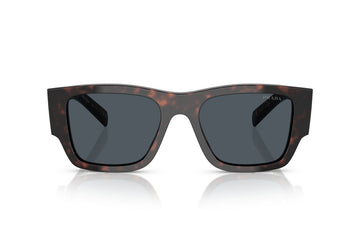 DARK GREY TORTOISE