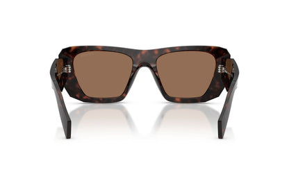 Prada PRB18S Square Sunglasses in Dark Brown / Root Tortoise, back view