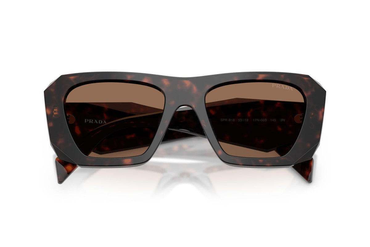 Prada PRB18S Square Sunglasses in Dark Brown / Root Tortoise, detail view