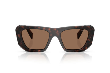 DARK BROWN / ROOT TORTOISE