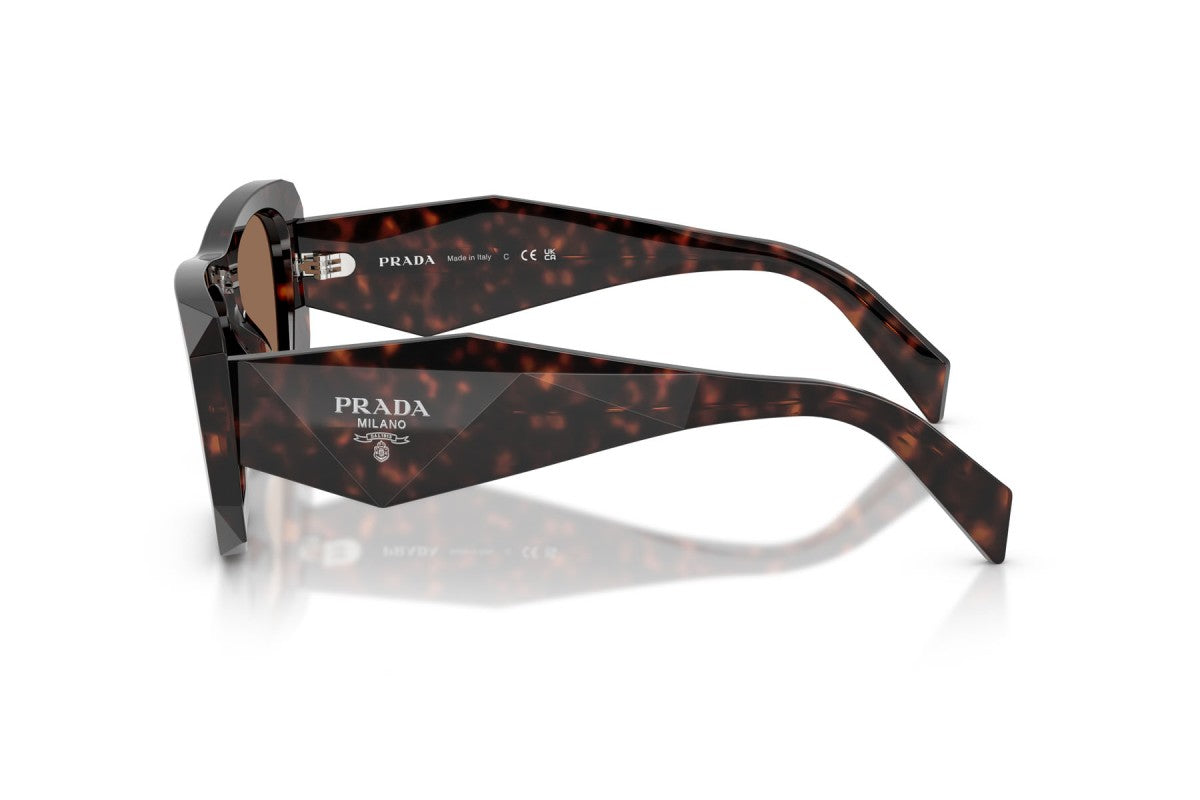 Prada PRB18S Square Sunglasses in Dark Brown / Root Tortoise, side view