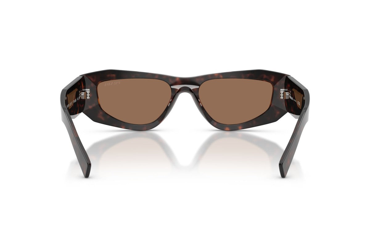 Prada PRB19S Square Sunglasses in Dark Brown / Root Tortoise, back view