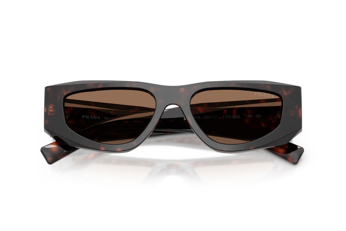 Prada PRB19S Square Sunglasses in Dark Brown / Root Tortoise, detail view