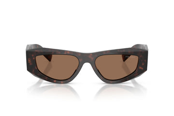 DARK BROWN / ROOT TORTOISE