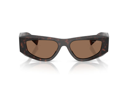 Prada PRB19S Square Sunglasses in Dark Brown / Root Tortoise, front view