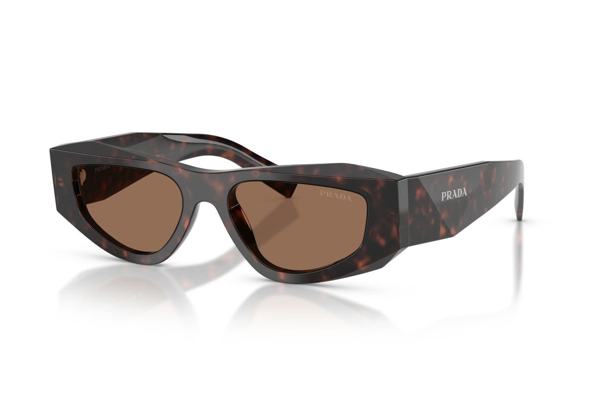 Prada PRB19S Square Sunglasses in Dark Brown / Root Tortoise, angle view