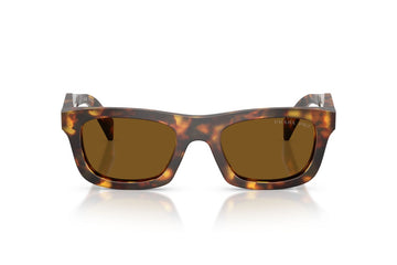 DARK BROWN/HONEY TORTOISE