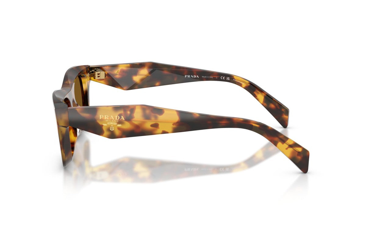Prada PRC06S Square Sunglasses in Dark Brown/Honey Tortoise, side view