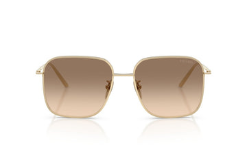 LIGHT BROWN GRADIENT LIGHT GREY/PALE GOLD