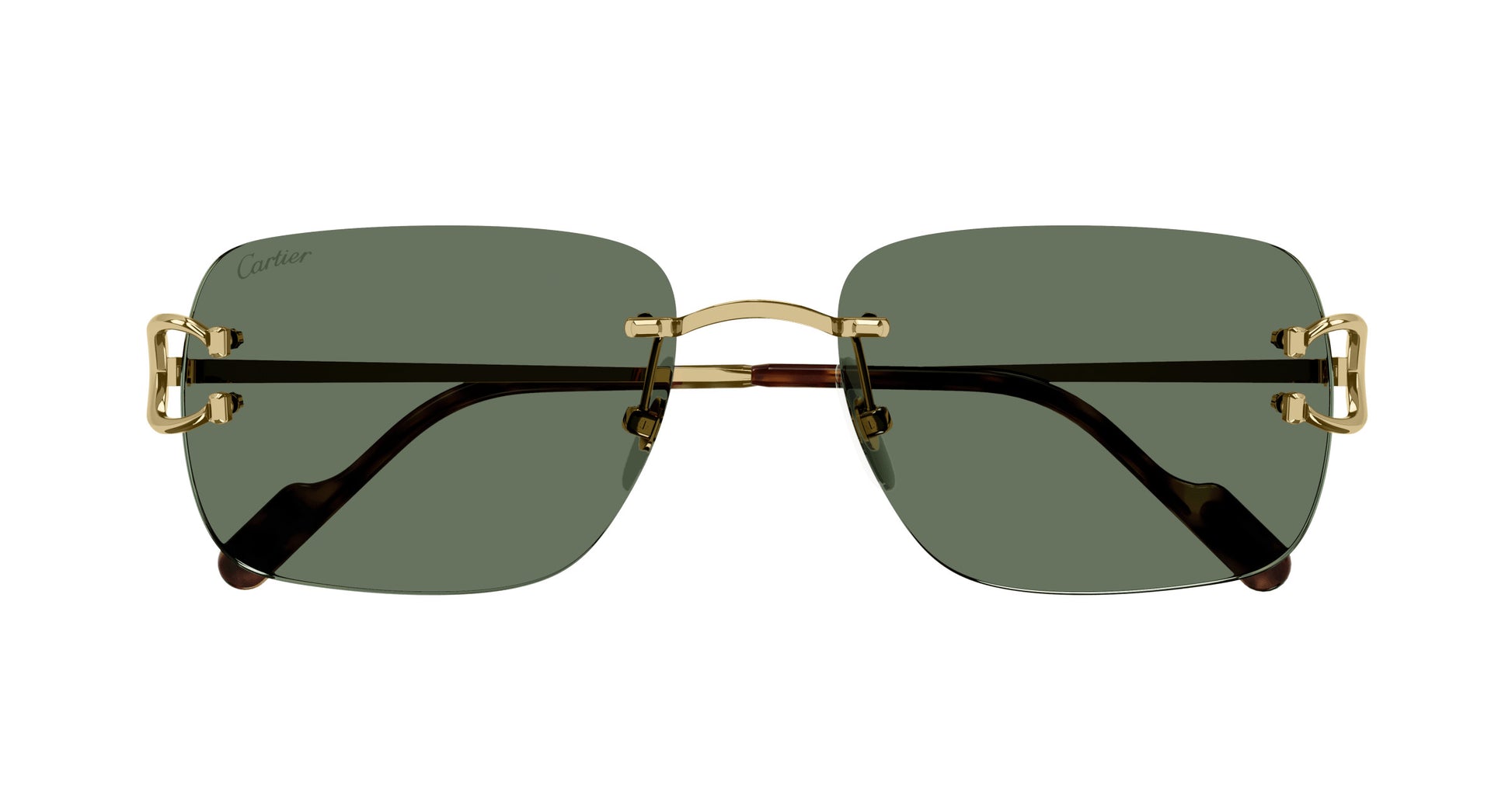 Cartier CT0330S Square Sunglasses in Green Gold, side view