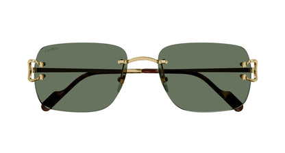 Cartier CT0330S Square Sunglasses in Green Gold, side view